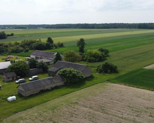 Działka rolna 3 ha w Jasieńcu Soleckim (zwoleński)
