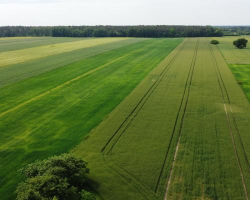 Działka rolna 3 ha w Jasieńcu Soleckim (zwoleński)
