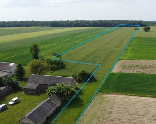 Działka rolna 3 ha w Jasieńcu Soleckim (zwoleński)