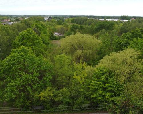 Duża działka z budynkiem we Wsoli blisko Radomia.