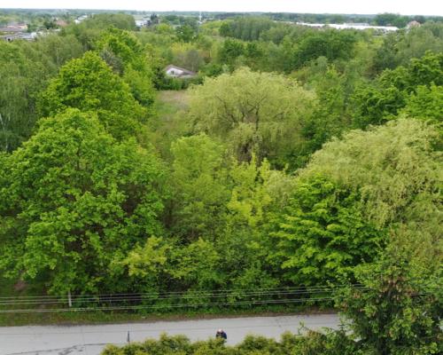 Duża działka z budynkiem we Wsoli blisko Radomia.