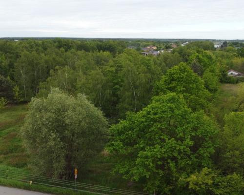 Duża działka z budynkiem we Wsoli blisko Radomia.