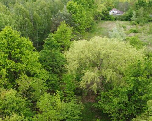 Duża działka z budynkiem we Wsoli blisko Radomia.