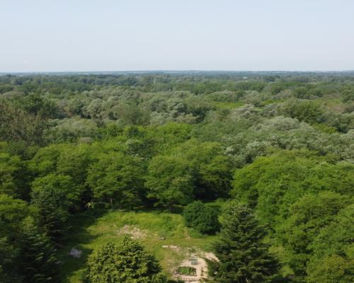 Siedlisko w Kaliszanach Kolonii gm. Józefów