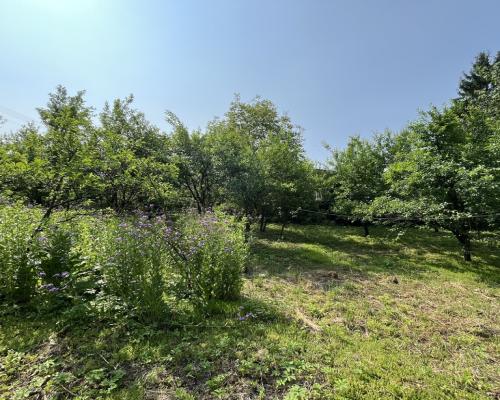 Siedlisko w Kaliszanach Kolonii gm. Józefów