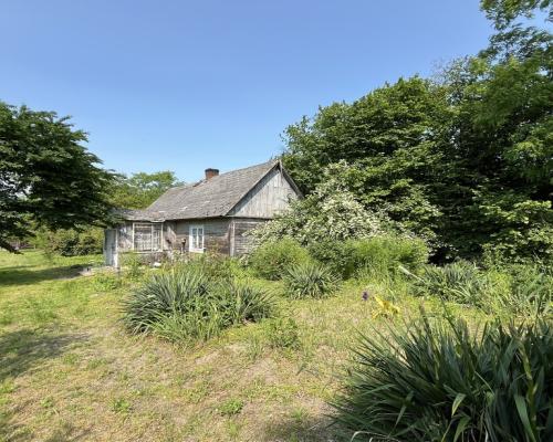 Siedlisko w Kaliszanach Kolonii gm. Józefów