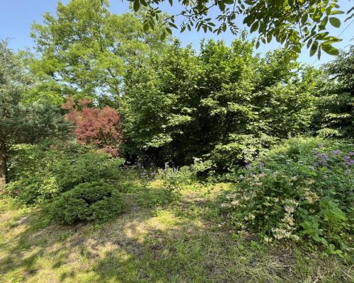 Siedlisko w Kaliszanach Kolonii gm. Józefów