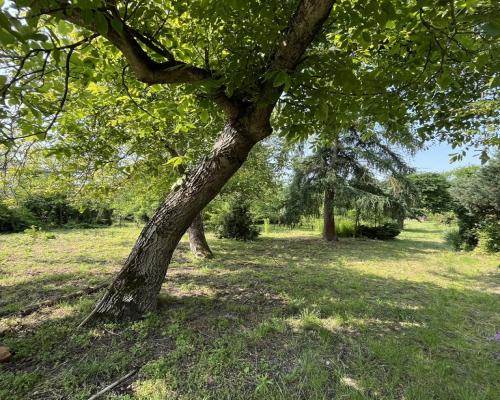 Siedlisko w Kaliszanach Kolonii gm. Józefów