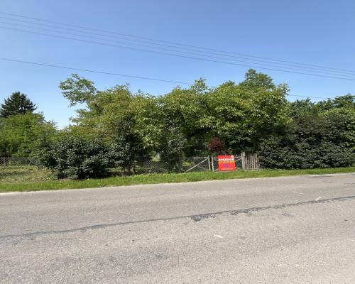 Siedlisko w Kaliszanach Kolonii gm. Józefów