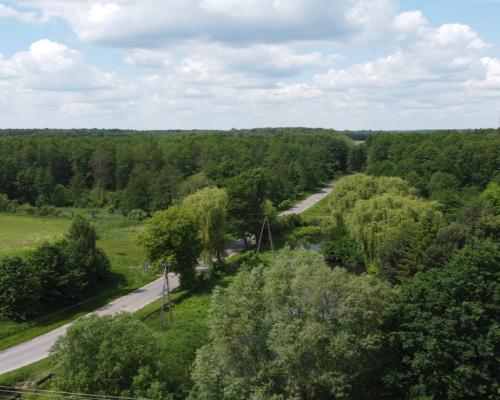 Dwa domy na dużej działce 100 km. od Warszawy.