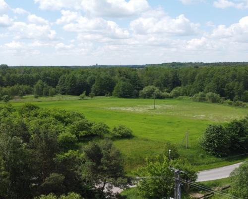 Dwa domy na dużej działce 100 km. od Warszawy.