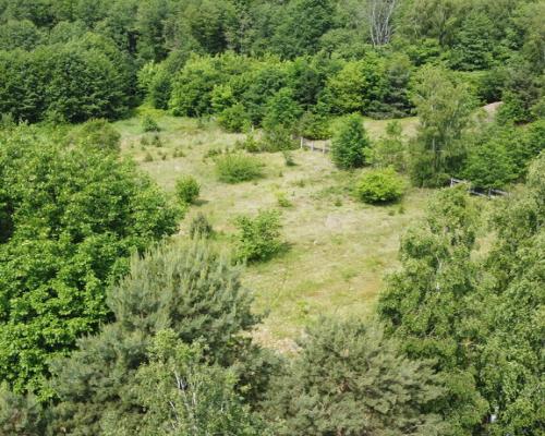 Dwa domy na dużej działce 100 km. od Warszawy.