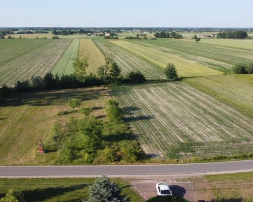 Działka budowlana w Wysokim Kole gm. Gniewoszów.