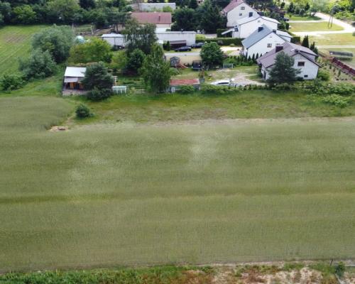 Działka o pow. 6461 m2 w Wysokim Kole (Gniewoszów)