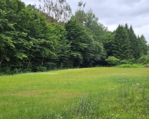 Działka, Nałęczów, 28ar, budowlana, media