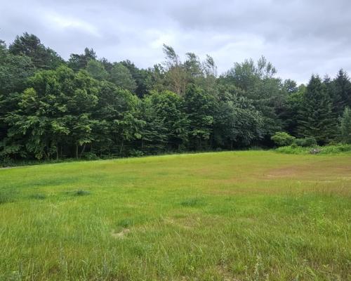 Działka, Nałęczów, 28ar, budowlana, media