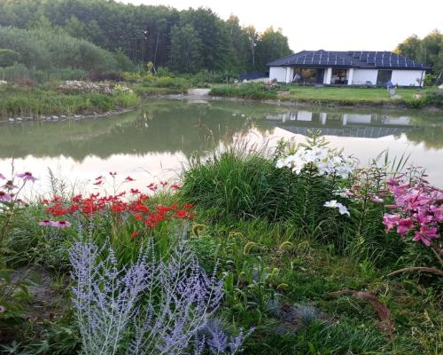 Nowoczesny dom na działce ze stawem w Radomiu.