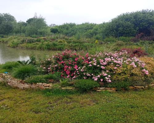 Nowoczesny dom na działce ze stawem w Radomiu.