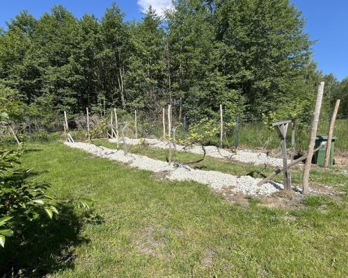 Nowoczesny dom na działce ze stawem w Radomiu.