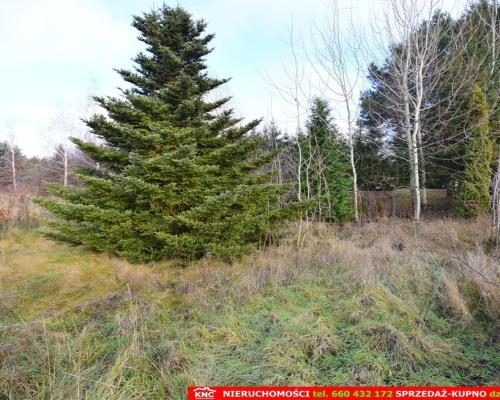 Atrakcyjna działka media, z pozw.na bud. z projekt