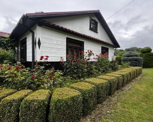 Częstoborowice - Dom z bali z dużą działką