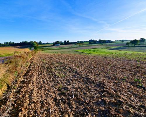 Działka 53ar w doskonałej cenie - blisko Nałęczowa