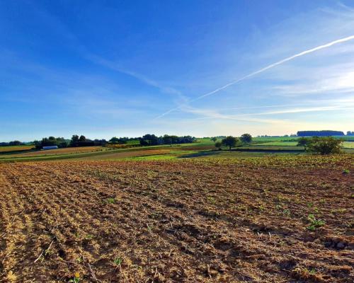 Działka 53ar w doskonałej cenie - blisko Nałęczowa