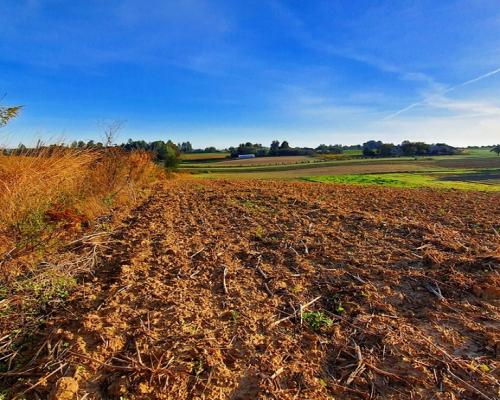 Działka 53ar w doskonałej cenie - blisko Nałęczowa