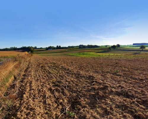 Działka 53ar w doskonałej cenie - blisko Nałęczowa