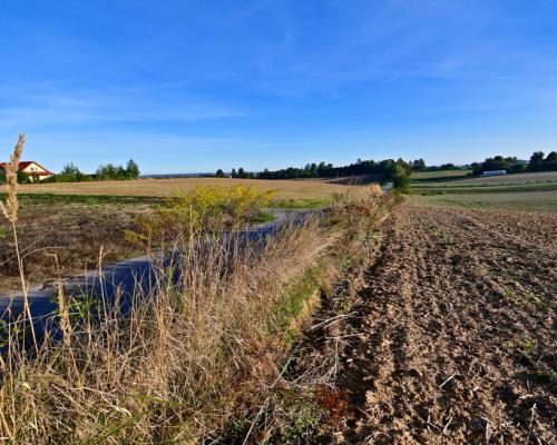 Działka 53ar w doskonałej cenie - blisko Nałęczowa