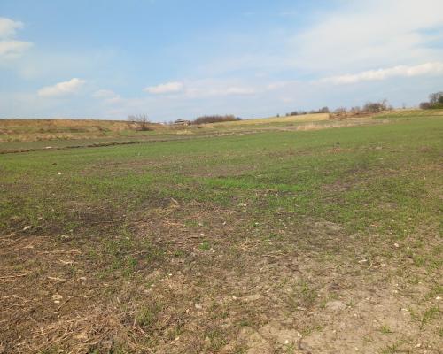 Jakubowice Murowane, gm. Wólka-działka 6600m2