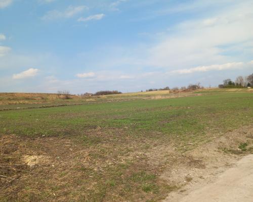 Jakubowice Murowane, gm. Wólka-działka 6600m2