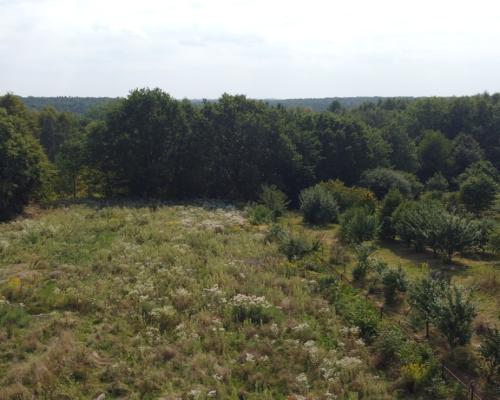 Działka z MPZP 0,54 ha w Bronowicach gm. Puławy..