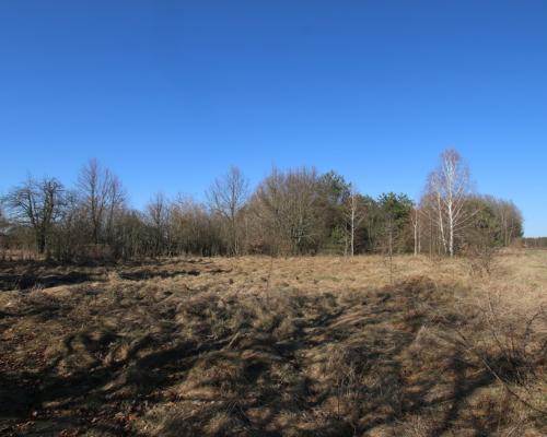 Działka rolno-budow. Wola Mieczysławska g.Lubartów