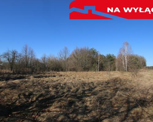 Działka rolno-budow. Wola Mieczysławska g.Lubartów