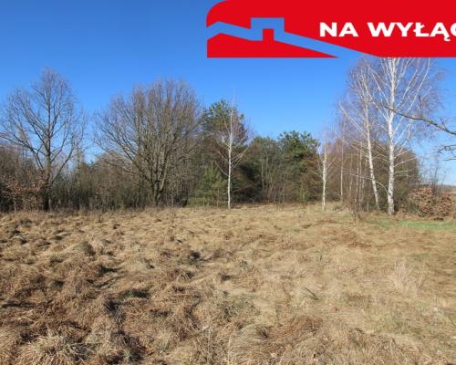 Działka rolno-budow. Wola Mieczysławska g.Lubartów