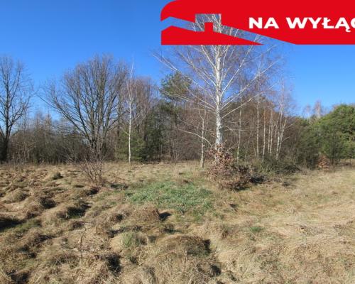 Działka rolno-budow. Wola Mieczysławska g.Lubartów
