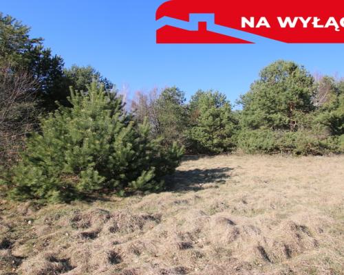 Działka rolno-budow. Wola Mieczysławska g.Lubartów