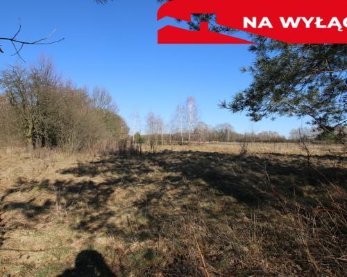 Działka rolno-budow. Wola Mieczysławska g.Lubartów