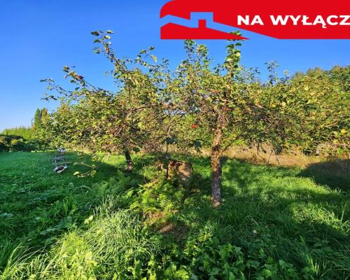 Działka pod dom jednorodzinny lub bliźniaka -Smugi