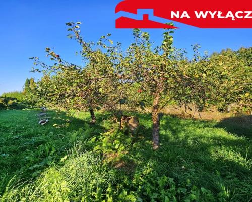 Smugi gm. Jastków- 56ar pod bliźniaka lub dom