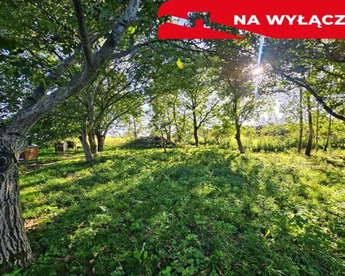 Smugi gm. Jastków- 56ar pod bliźniaka lub dom