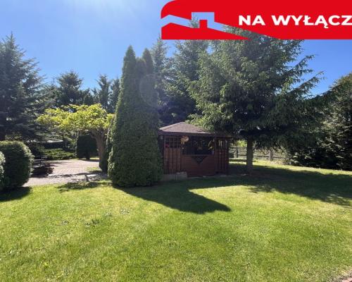 Dom 286 mkw z częścią handlową 230 mkw w Dęblinie.