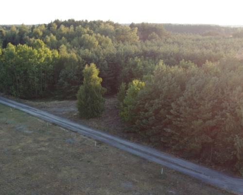 Dom na dużej działce w Świesielicach gm. Ciepielów