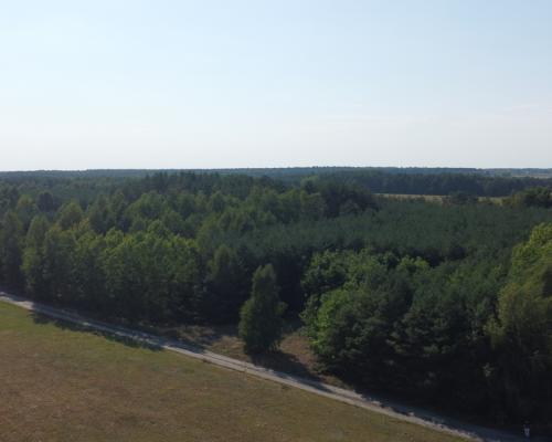 Dom na dużej działce w Świesielicach gm. Ciepielów