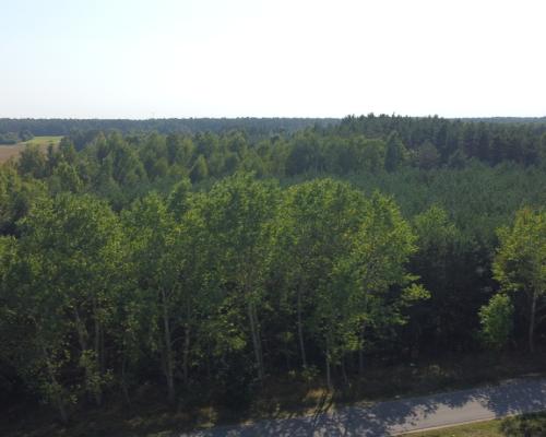 Dom na dużej działce w Świesielicach gm. Ciepielów