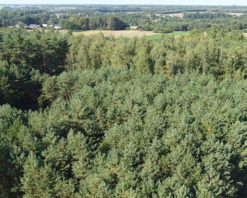 Dom na dużej działce w Świesielicach gm. Ciepielów