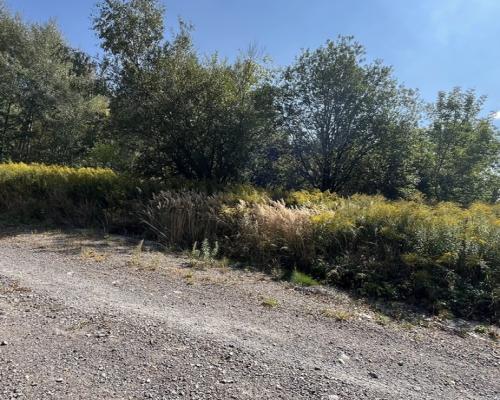 Działka budowlana 0.26 ha w gm. Niemce pow. Lublin