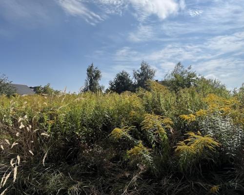 Działka 1067 m2 w Krasieninie gm. Niemce k/Lublina