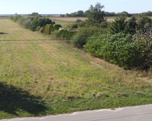 Działka budowlana 0.76 ha Sielce gm. Końskowola